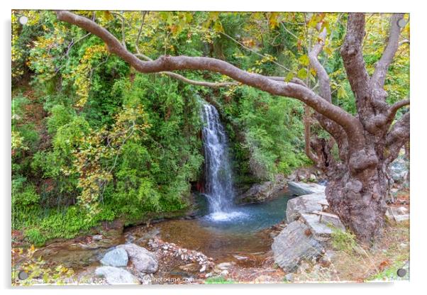 Platanistos Waterfall: A Serene Oasis Acrylic by Margaret Ryan