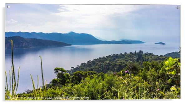 Adriatic Views from Lokrum Island Acrylic by Margaret Ryan
