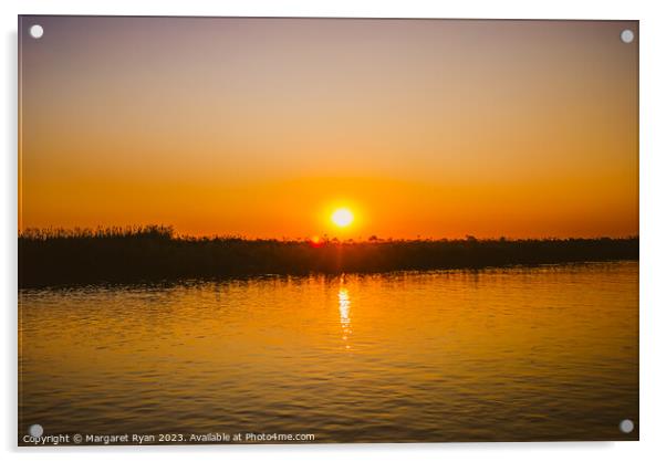 Okavango sunset Acrylic by Margaret Ryan