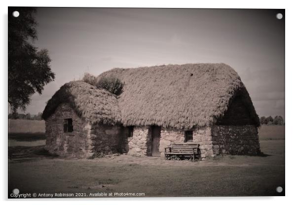 Old Leanach Cottage Acrylic by Antony Robinson