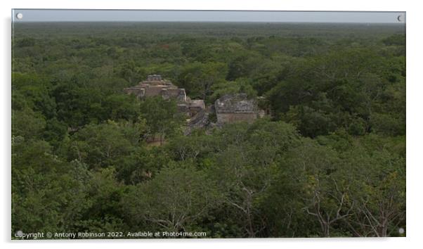Mayan ruins at Ekʼ Balam Acrylic by Antony Robinson