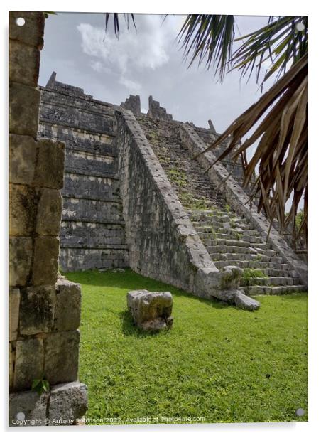Mystical Mayan Jungle Ruins Acrylic by Antony Robinson