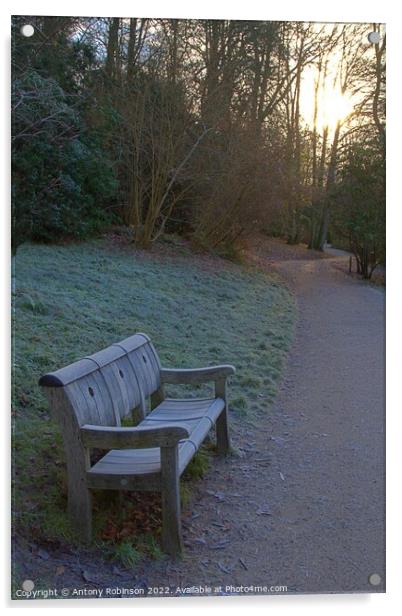 Frosty bench in the park Acrylic by Antony Robinson