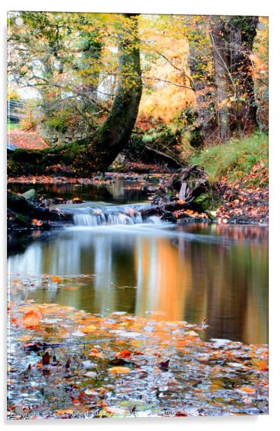 Autumn Scene on The River Acrylic by Les Schofield