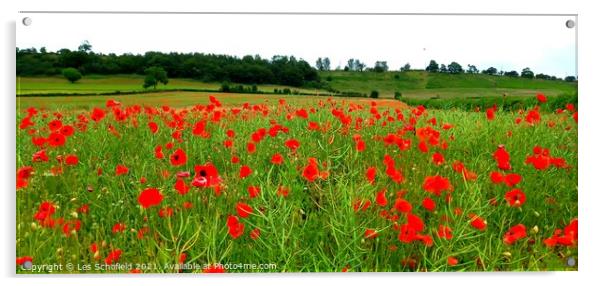 Poppies  Acrylic by Les Schofield