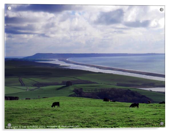 Chesil Beach Dorset Acrylic by Les Schofield