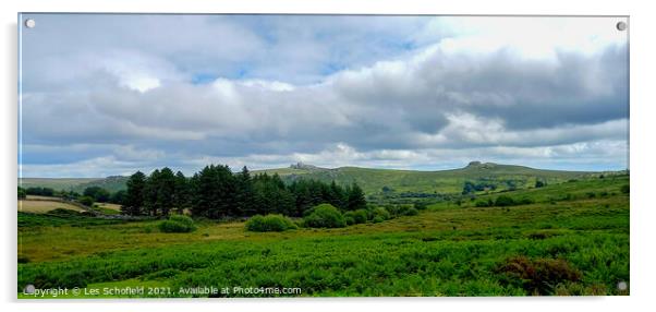 Dartmoor Tors Acrylic by Les Schofield