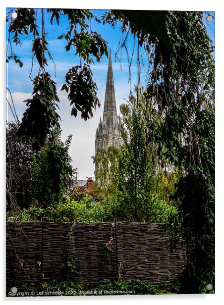 Salisbury cathedral spire Acrylic by Les Schofield