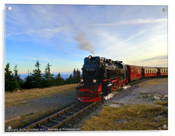 The harz mountain railway Germany  Acrylic by Les Schofield