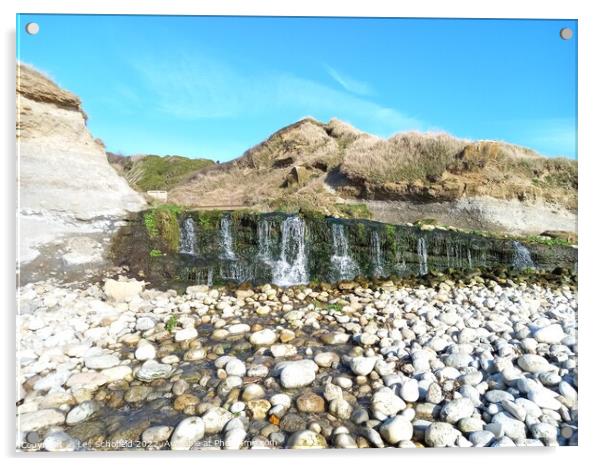 Osmington mills  waterfall dorset  Acrylic by Les Schofield