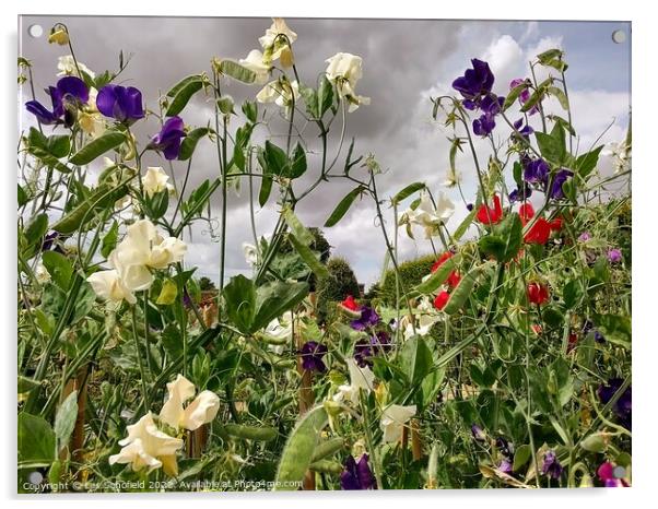 Wildflowers Acrylic by Les Schofield