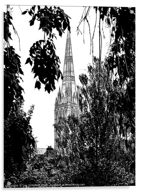 Majestic Salisbury Cathedral in Monochrome Acrylic by Les Schofield