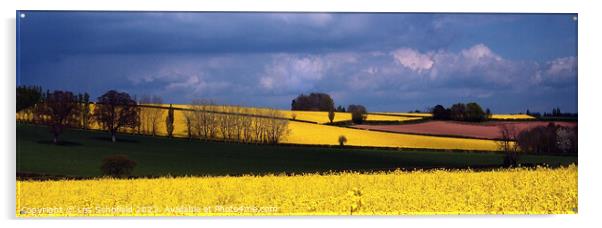 Golden Fields of Devon Acrylic by Les Schofield