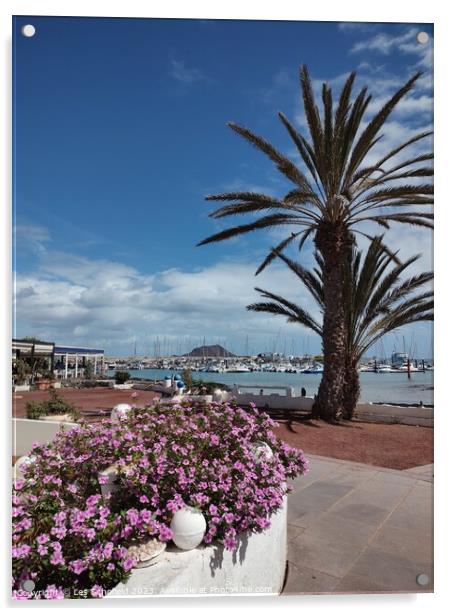 Corralejo harbour  Acrylic by Les Schofield