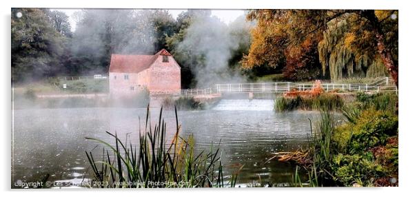 Sturminster  newton. . Watermill  Acrylic by Les Schofield