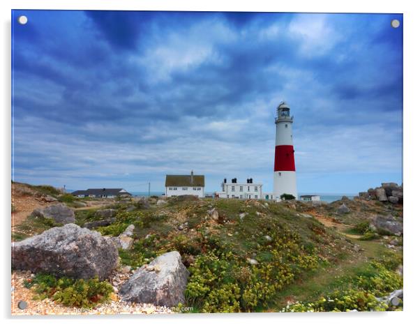 Portland Bill Lighthouse Acrylic by Les Schofield