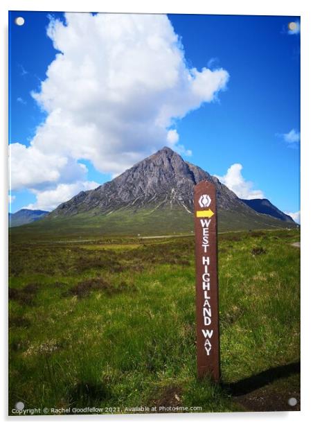 West Highland Way Acrylic by Rachel Goodfellow