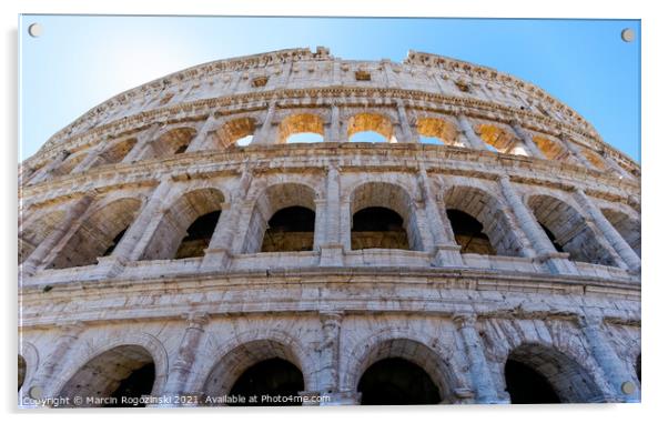 The Colosseum in Rome, Italy Acrylic by Marcin Rogozinski