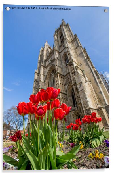 Blooming Beauty at Beverley Minster Acrylic by Ron Ella