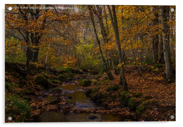 Autumnal Stream Acrylic by Ron Ella