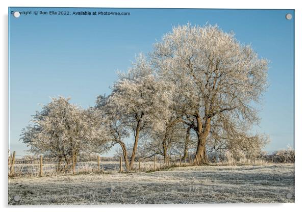 Icy Winter Wonderland Acrylic by Ron Ella