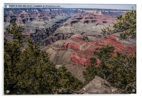 Majestic Grand Canyon Acrylic by Ron Ella