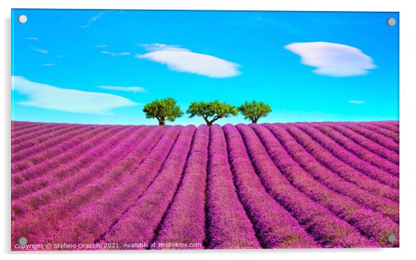 Lavender, Clouds and Trees Acrylic by Stefano Orazzini