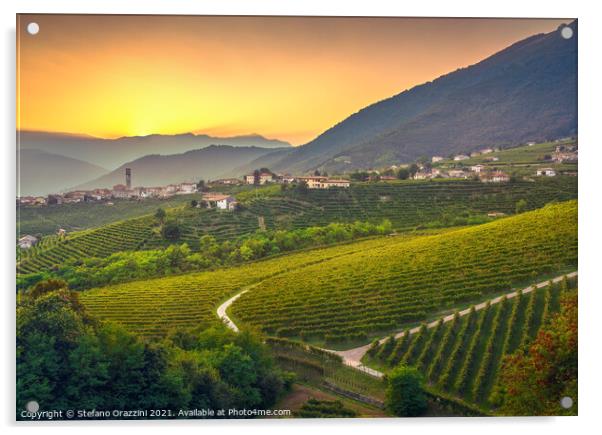 Vineyards after Sunset in Prosecco Hills Acrylic by Stefano Orazzini