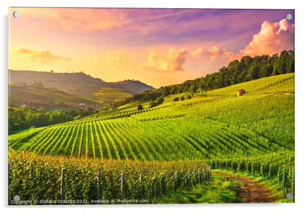 Barolo Vineyards at Sunset. Langhe, Italy Acrylic by Stefano Orazzini