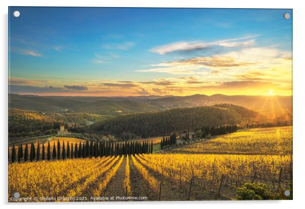 Chianti vineyards at sunset. Tuscany Acrylic by Stefano Orazzini
