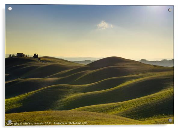 Rolling hills and farm in Crete Senesi. Tuscany Acrylic by Stefano Orazzini