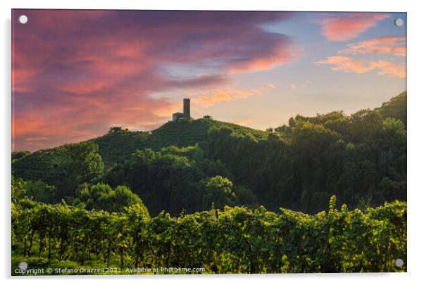 San Lorenzo church and Prosecco Hills vineyards Acrylic by Stefano Orazzini
