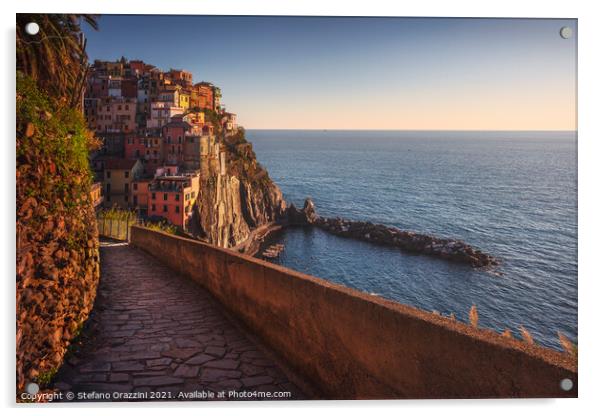 Manarola village and stone trail. Cinque Terre, Italy Acrylic by Stefano Orazzini