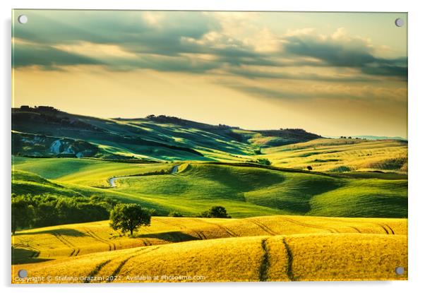 Tuscany, rolling hills and wheat fields in Val d'Orcia  Acrylic by Stefano Orazzini