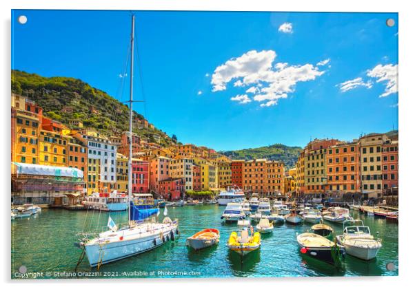 Camogli marina, boats and colorful houses. Ligury Acrylic by Stefano Orazzini