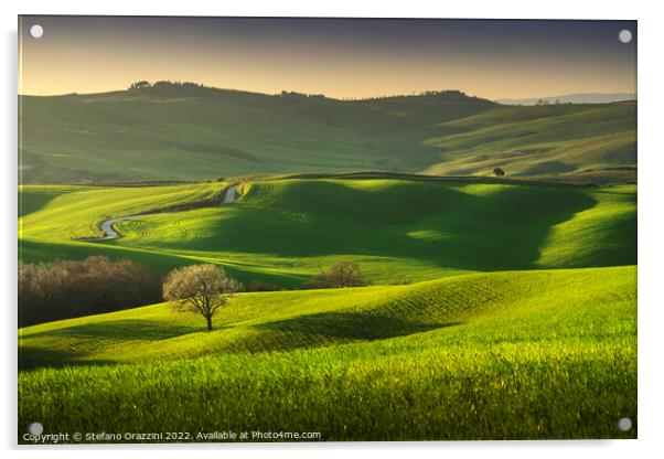 Springtime in Tuscany, rolling hills and trees. Pienza, Italy Acrylic by Stefano Orazzini