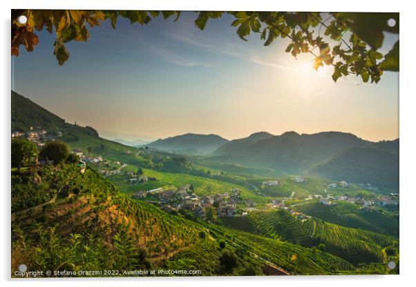Prosecco Hills, vineyards panorama in the morning. Unesco Site.  Acrylic by Stefano Orazzini