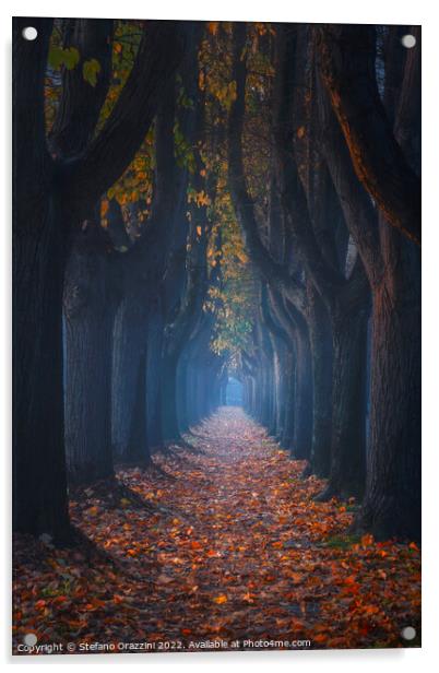 Autumn foliage in tree-lined walkway. Lucca, Tuscany, Italy. Acrylic by Stefano Orazzini