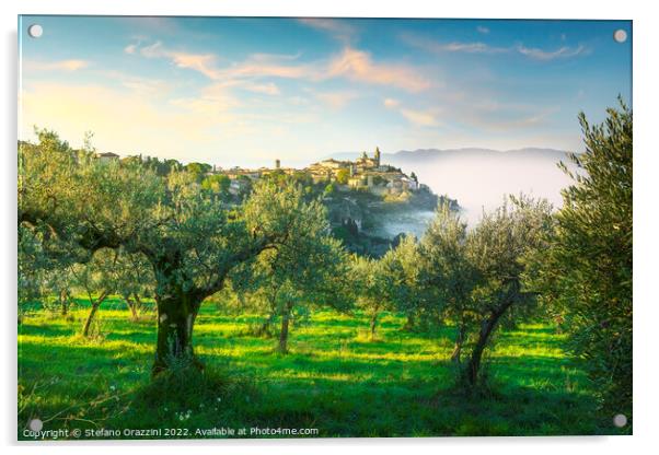 Trevi picturesque village and olive trees in a foggy morning. Acrylic by Stefano Orazzini