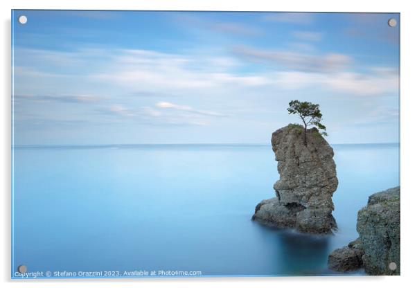 Stone pine on the rock. Long exposure. Italy Acrylic by Stefano Orazzini