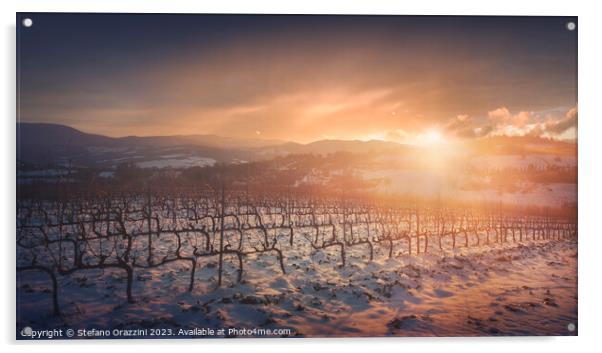 Snow in the vineyards of Chianti at sunset near Siena, Italy Acrylic by Stefano Orazzini
