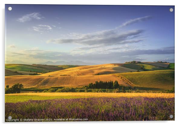 Lavender in Tuscany, hills and green fields. Santa Luce, Pisa. Acrylic by Stefano Orazzini