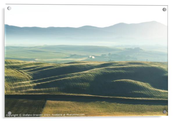 Foggy morning in Tuscany. Rolling hills at sunrise. Val d'Orcia Acrylic by Stefano Orazzini