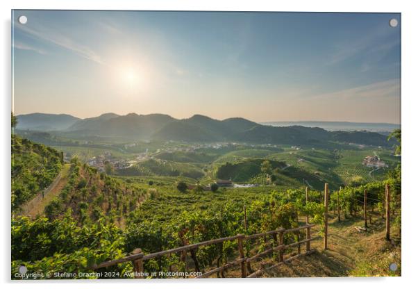 Prosecco Hills, vineyards panorama in the morning. Italy Acrylic by Stefano Orazzini