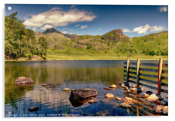 Blea Tarn Lake District Cumbria  Acrylic by John Gilham