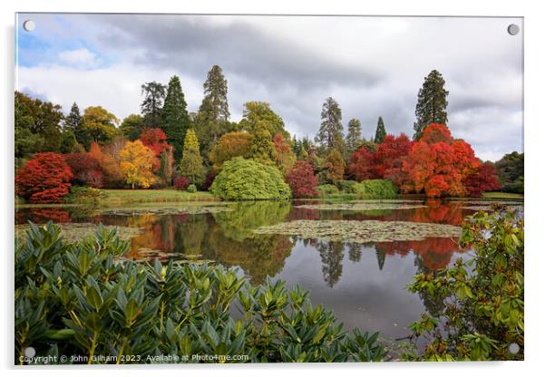 Autumn colours in an English Park Acrylic by John Gilham