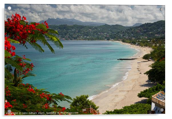 Grand Anse Beach St George Grenada The Caribbean Acrylic by John Gilham