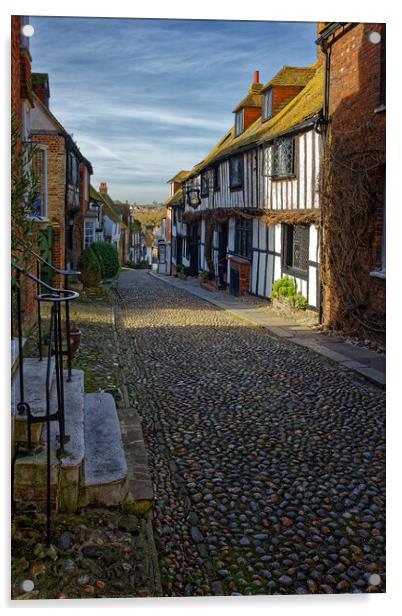 Outdoor narrow cobbled street in Rye Sussex UK Acrylic by John Gilham