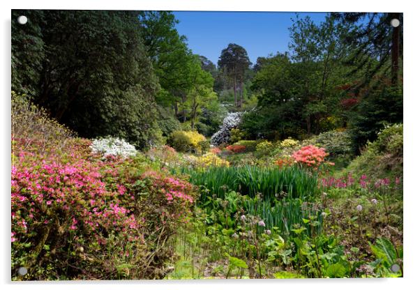 An English Garden in full springtime bloom Acrylic by John Gilham