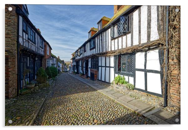 Outdoor cobbled street in Rye East Sussex England UK Acrylic by John Gilham